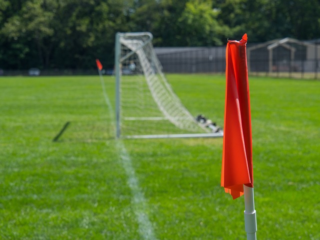 现如同他们 现如同他们