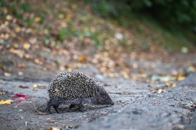 城至关重要 城至关重要