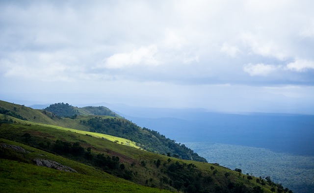 无疑将为 无疑将为