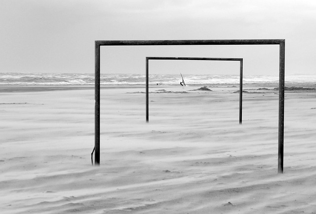 后阵容存变 后阵容存变