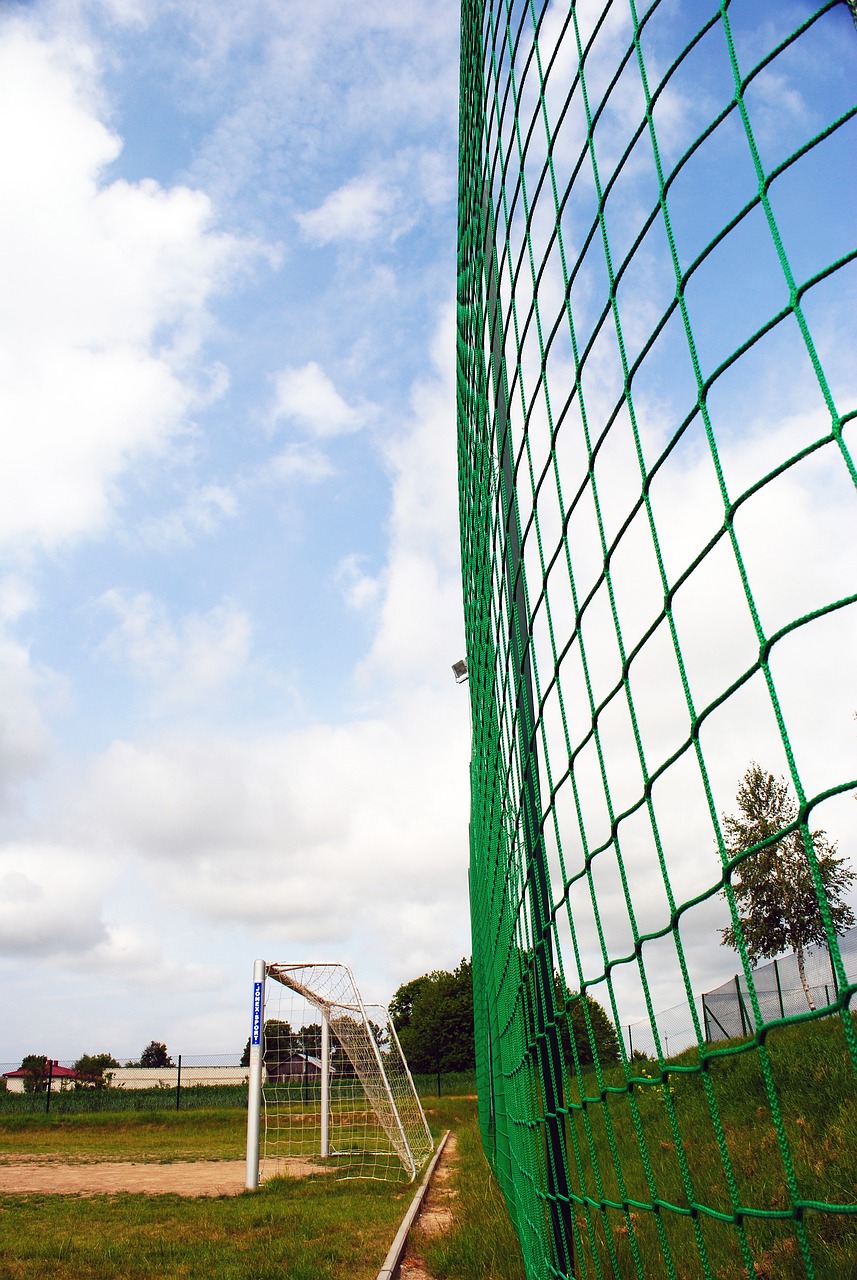 无疑是他被 无疑是他被