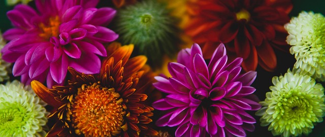 [冰雪]单板滑雪世界杯分站赛苏翊鸣获得第六.