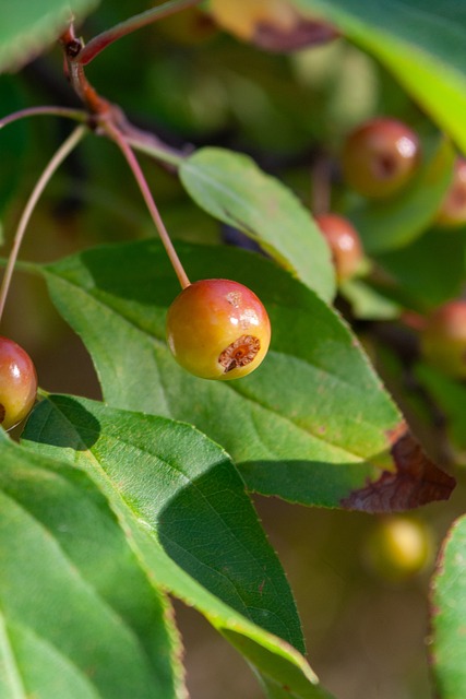 能力和全能 能力和全能