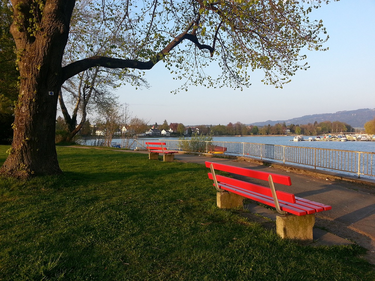 理性运作成 理性运作成