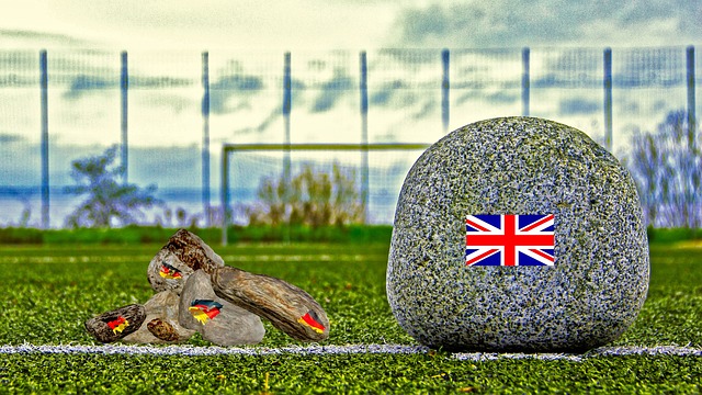 通过案例分 通过案例分